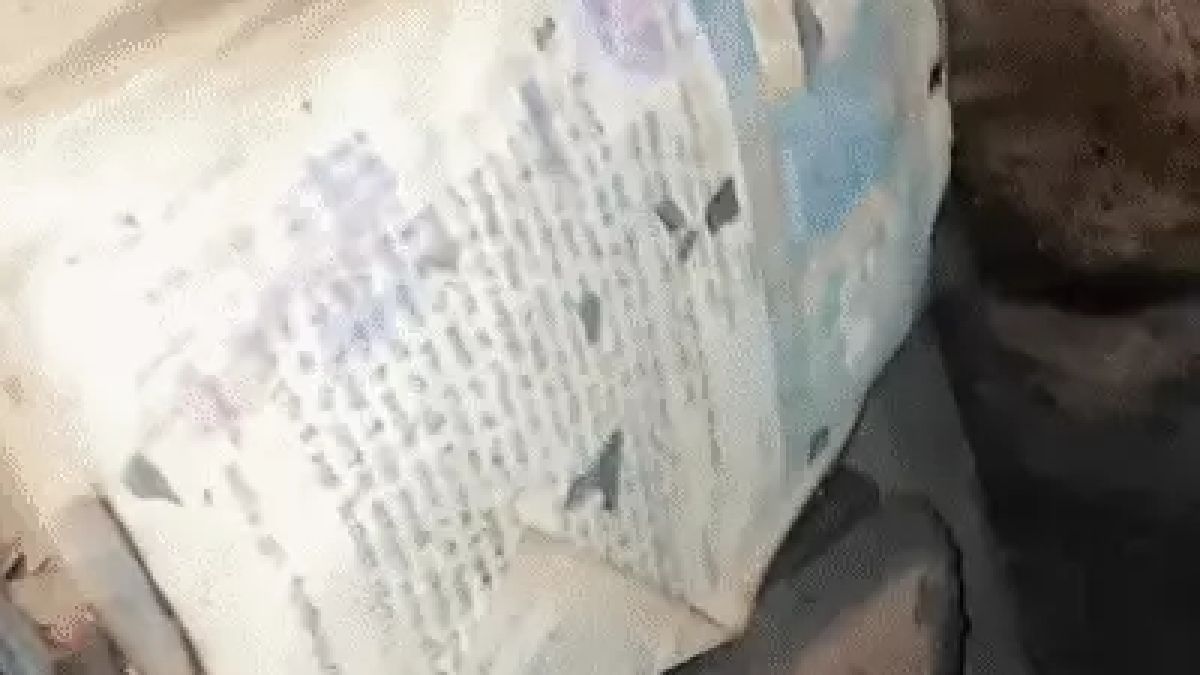 news